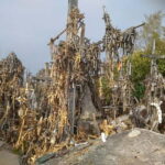 Siauliai 2-Hour Private Tour to Hill of Crosses - The Sum Up