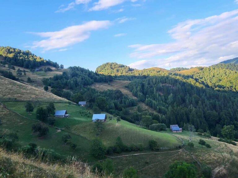 Sibiu: Cindrel Mountains Hike with Traditional Brunch - Itinerary Breakdown