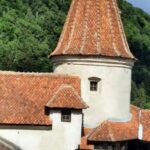 Sibiu: Dracula's Castle and Dino Park Day Trip - Transportation and Group Dynamics
