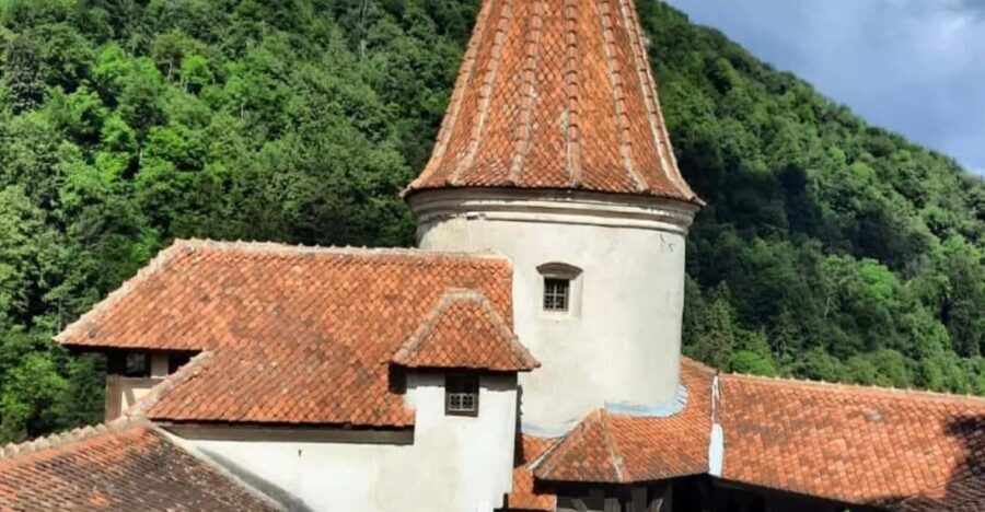 Sibiu: Dracula's Castle and Dino Park Day Trip - Transportation and Group Dynamics