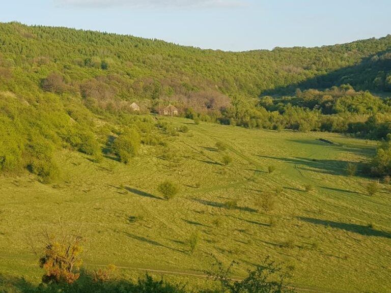 Sibiu panorama by evening, tour of Gusterita Hill - Exploring the Details: What Youll Experience