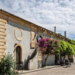Sicilian Soul: Winery Tour, Wine & Food Tasting in Catania - Why This Tour Stands Out