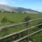 Sicilian Villages & Ricotta Tasting - including Lunch from Cefalu - Final Thoughts