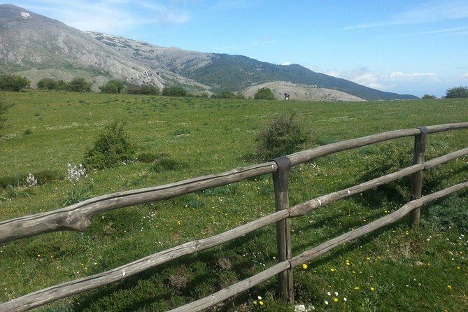 Sicilian Villages & Ricotta Tasting - including Lunch from Cefalu - Final Thoughts