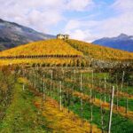 Sicily  A Love of a Lifetime - Who Should Consider This Tour?