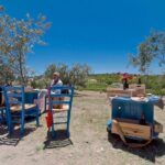 Sicily Baroque Grand Tour (Private) - Who Will Love This Tour?
