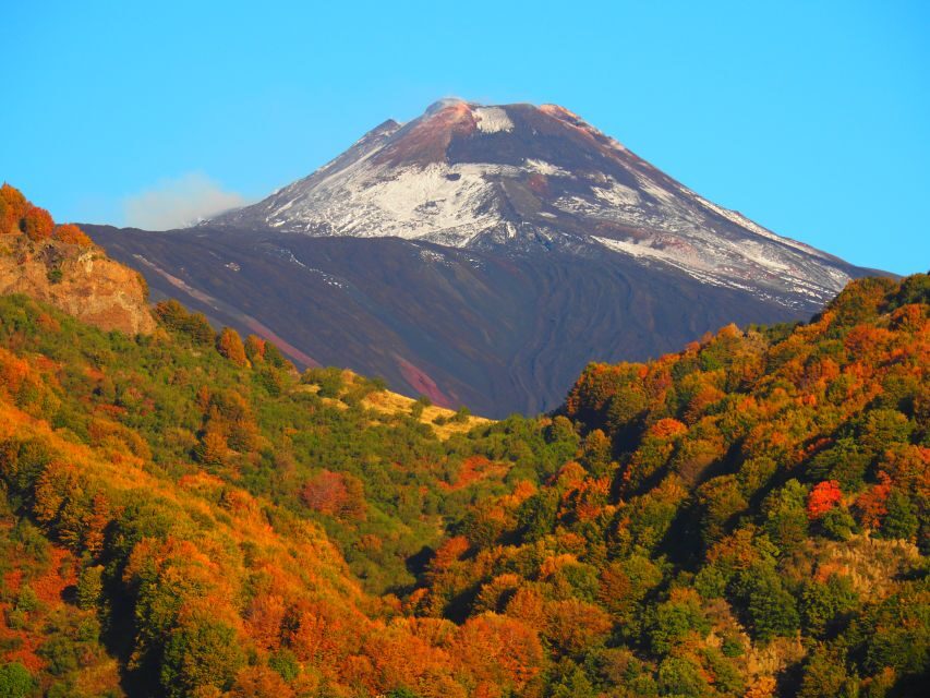 Sicily: Mount Etna's North Slope Craters Guided Hike Tour - Authentic Reviews from Fellow Travelers