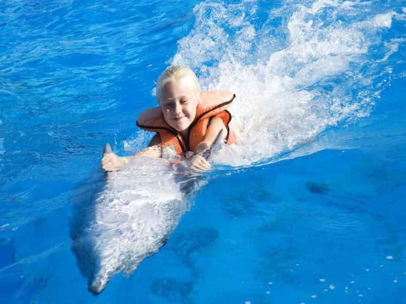 Side/Alanya: Swimming with Dolphins and Dolphin Show - Who Is This Tour Best For?