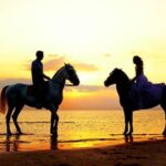 Side: Horseback Riding Tour in Nature with Transfer - A Closer Look at the Itinerary