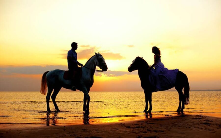 Side: Horseback Riding Tour in Nature with Transfer - A Closer Look at the Itinerary