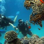 Side Scuba Diving Adventure with Lunch & Roundtrip Transfer - Why This Tour Is a Great Choice
