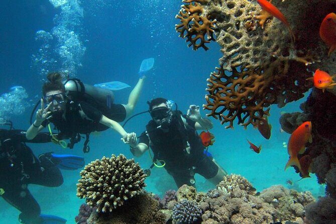 Side Scuba Diving Adventure with Lunch & Roundtrip Transfer - Why This Tour Is a Great Choice