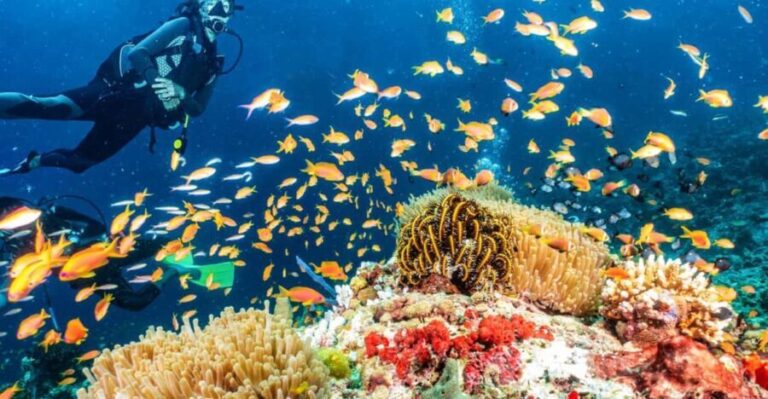 Side: Scuba Diving Tour Journey To The Depths Of The Blue - Final Thoughts