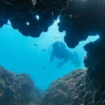 Side: Scuba Diving, Underwater Museum, 2 Dives incl. Lunch - A Detailed Look at the Side Scuba Tour
