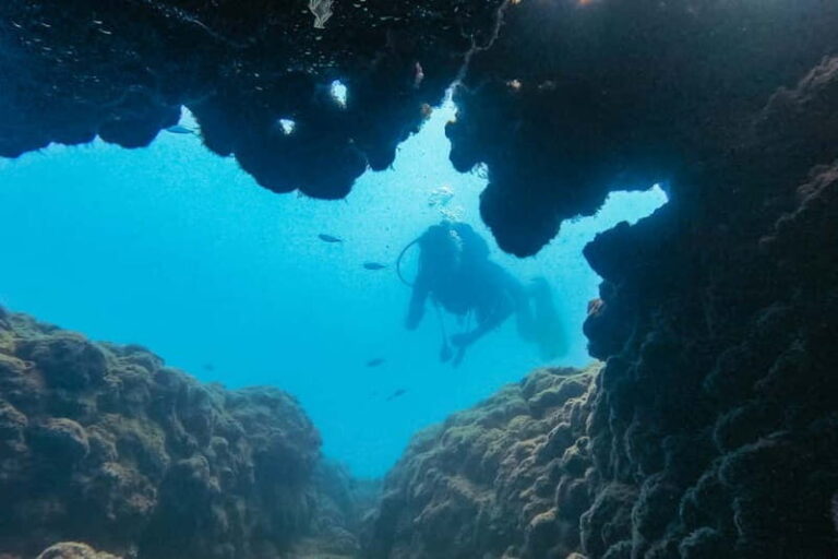 Side: Scuba Diving, Underwater Museum, 2 Dives incl. Lunch - A Detailed Look at the Side Scuba Tour