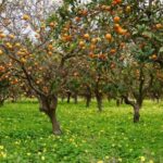 Side:Green Lake Mix Tour - A Day of Nature History & Culture - Who Should Consider This Tour?