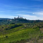 Siena and San Gimignano Tour from Florence - Final Thoughts on the Siena and San Gimignano Tour