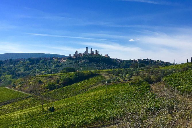 Siena and San Gimignano Tour from Florence - Final Thoughts on the Siena and San Gimignano Tour