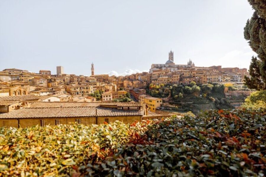 Siena: Private Custom Tour with a Local Guide - Final Thoughts: Is It Worth It?