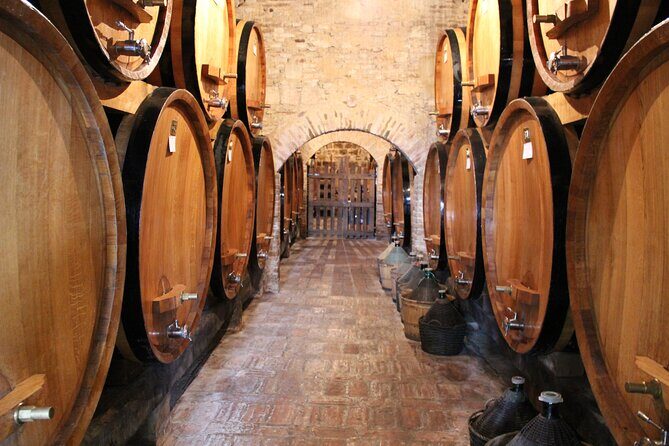 Siena to Rome: Orvieto and Montepulciano Transfer Tour - Who Should Consider This Tour?