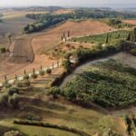 Siena: Winery tour/tasting with owner/maker of awarded wines - Practical Details and Tips