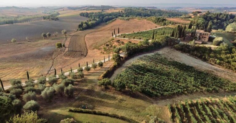 Siena: Winery tour/tasting with owner/maker of awarded wines - Practical Details and Tips