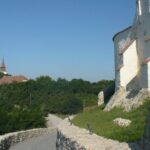 Sighisoara - Marienburg - Viscri Trip from Brasov - Who Will Enjoy This Tour?