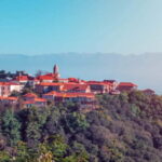 Sighnaghi and Bodbe Wine Tasting private tour: From Tbilisi - Practical Details and Value