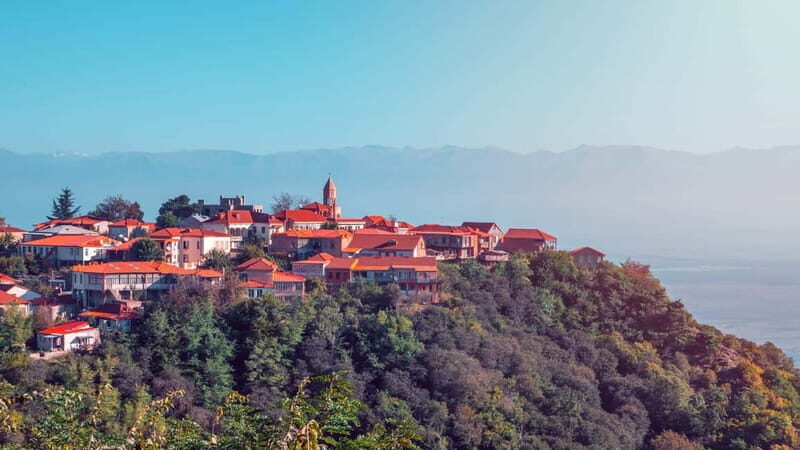Sighnaghi and Bodbe Wine Tasting private tour: From Tbilisi - Practical Details and Value