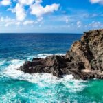 Sights & Bites Island Tour - Frequently Asked Questions