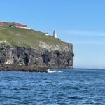 Sightseeing Around Nólsoy to see Puffins - A Deep Dive into the Experience