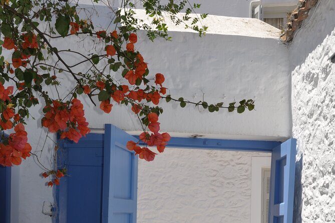 Sightseeing Private Tour in Athens Acropolis (Elysium Travel) - Who Will Enjoy This Tour?