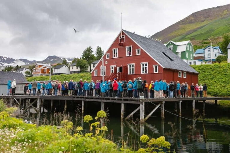Siglufjordur: Herring Era Museum Entrance Ticket - A Detailed Look at the Siglufjordur Herring Era Museum