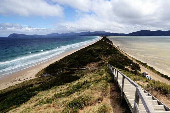 Signature Bruny Island Tour - Hobart & SE Tasmania - Who Will Love This Tour?