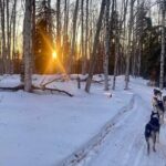 Signature Ridge Top Mush - Final Thoughts