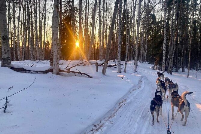 Signature Ridge Top Mush - Final Thoughts