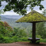 Sigulda Hiking Tour: A Day in the Switzerland of Latvia - Itinerary Breakdown: What You’ll Cover