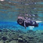 Silfra Night Freedive Tour - In-Depth Review of the Silfra Night Freedive Tour