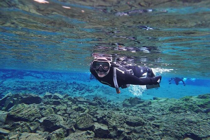 Silfra Night Freedive Tour - In-Depth Review of the Silfra Night Freedive Tour