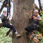 Silver Falls: Old-Growth Tree Climbing Adventure - Why This Tour Stands Out