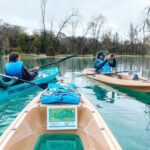 Silver Springs: Glass Bottom Kayak and Wildlife Tour - Who Should Consider This Tour