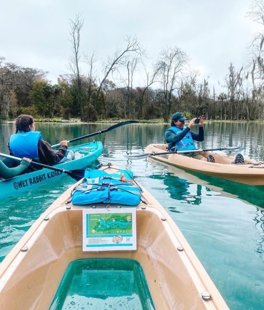 Silver Springs: Glass Bottom Kayak and Wildlife Tour