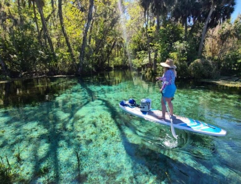 Silver Springs: Manatees and Monkeys Clear Kayak Guided Tour - Why This Tour Is a Great Choice