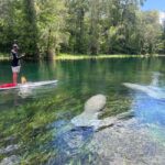 Silver Springs: Manatees, Monkeys, and Natural Spring Tour - An In-Depth Look at the Experience