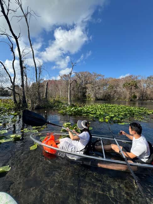 Silver Springs: Silver River Guided Kayak Tour - Authentic Experiences That Stand Out