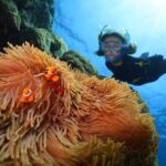 Silversonic Outer Great Barrier Reef Cruise from Port Douglas - The Experience: What Makes It Stand Out?