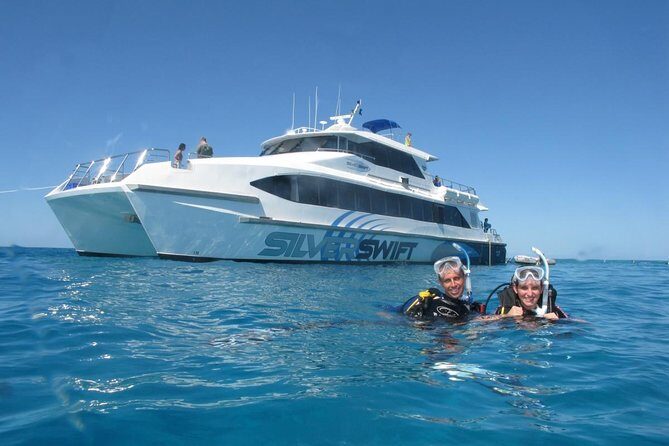 Silverswift Dive and Snorkel Great Barrier Reef Cruise - What Makes This Tour Stand Out