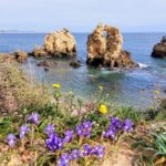 Silves and Albufeira (NEW) - An In-Depth Look at the Algarve’s Hidden Gems