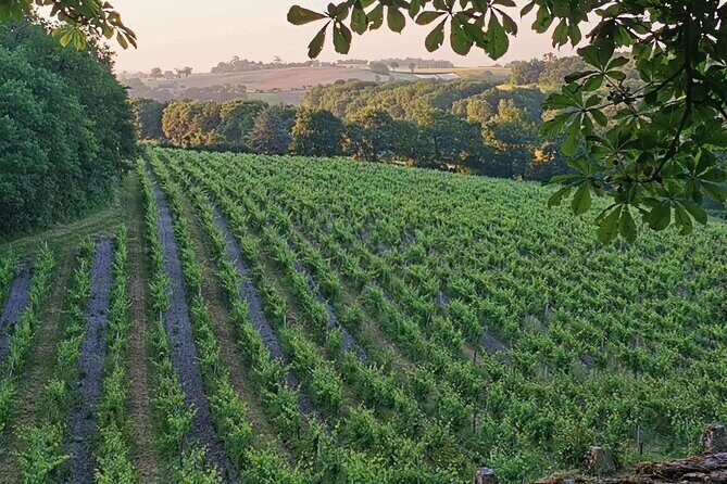 Simple Visit to Discover the Domaine d'Arton - Frequently Asked Questions