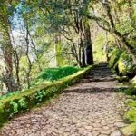 Sintra: Adventure hike around Sintra's most popular castles - Final Thoughts: Is It Right for You?